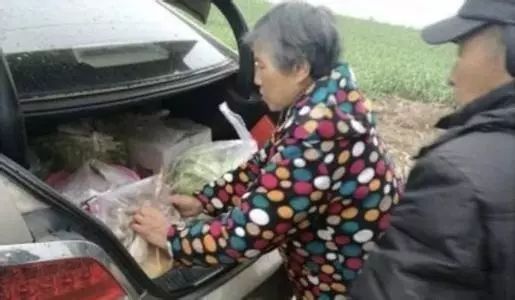 滿滿“故鄉(xiāng)味”，讀懂父母愛