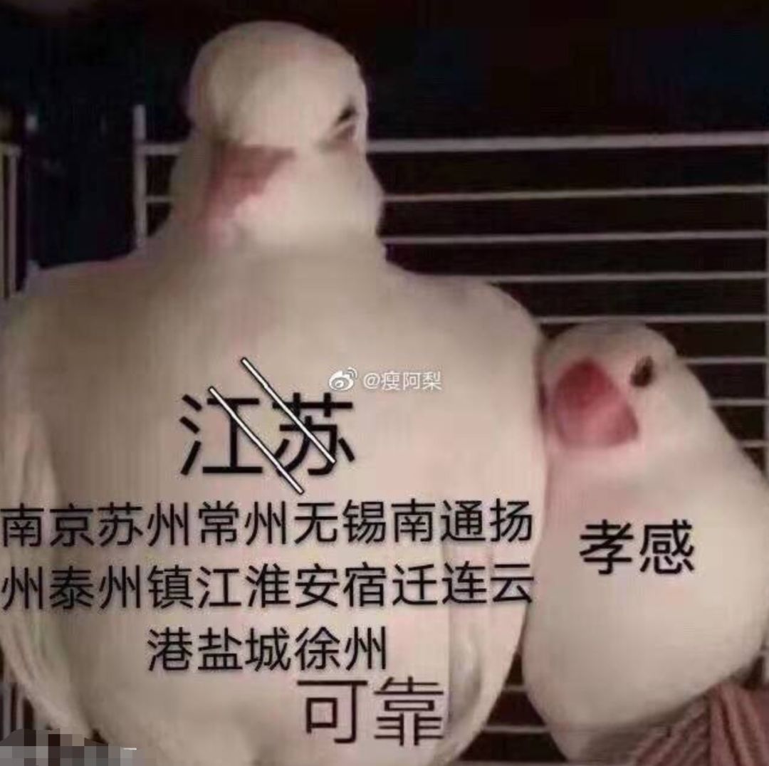 “散裝”的江蘇，也是中國的江蘇！