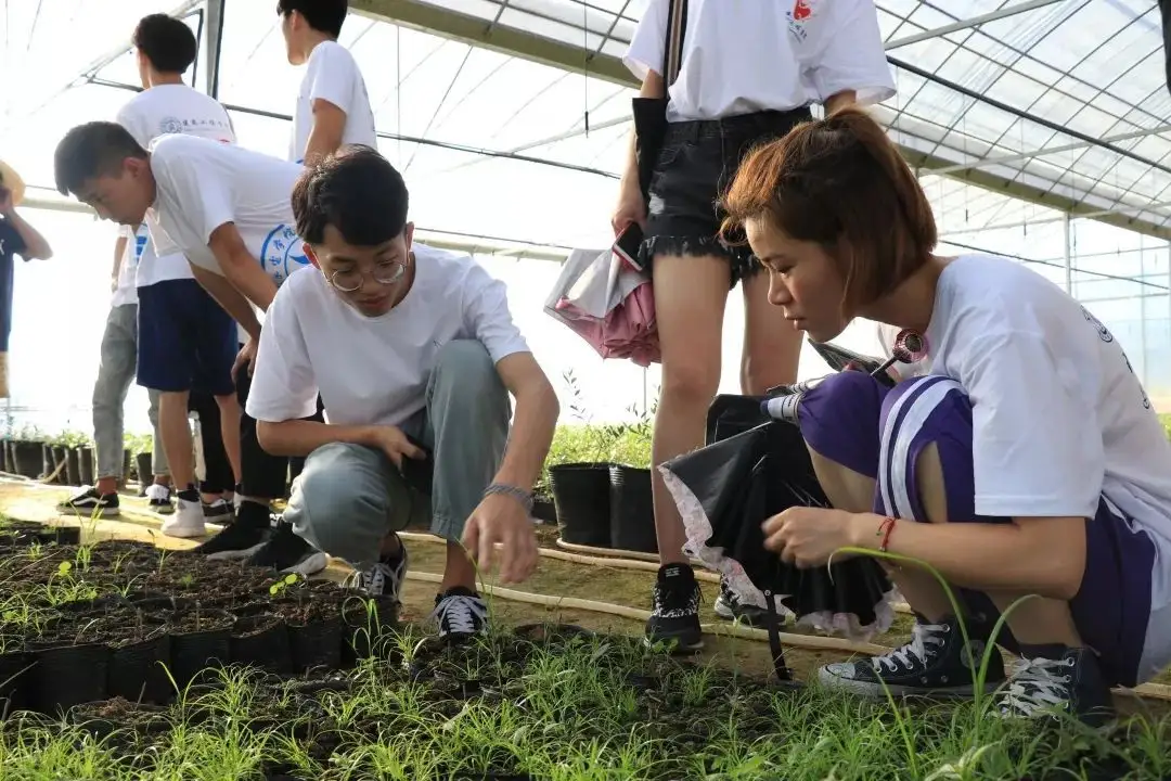 衢平共振，走好協(xié)作振興之路