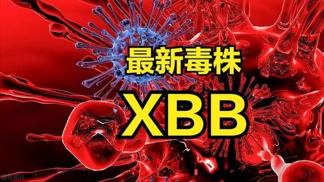 XBB新毒王入侵？誰在炒作新一輪搶購潮？