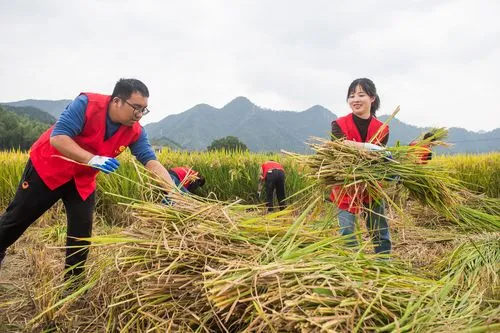 讓青春在勞動中綻放“芳華”