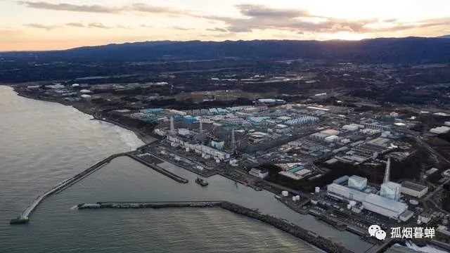 福島幼兒園門口的草地，輻射超標(biāo)十幾倍